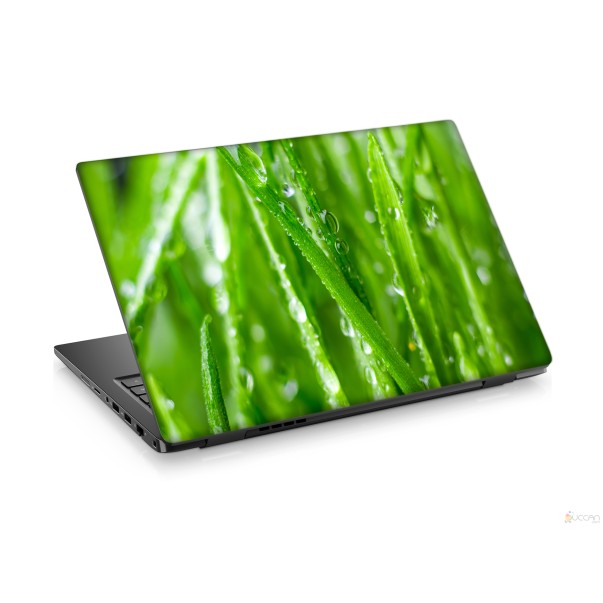 Su Damlalı Yaprak Laptop Sticker Notebook Dizüstü Kaplama Stickeri