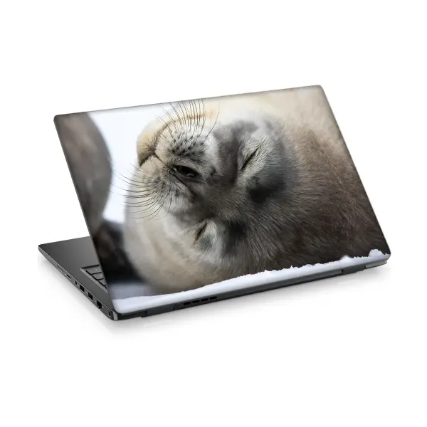 Fok Balığı-3 Laptop Sticker Notebook Dizüstü Kaplama Stickeri