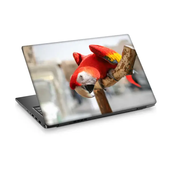 Kırmızı Papağan Laptop Sticker Notebook Dizüstü Kaplama Stickeri