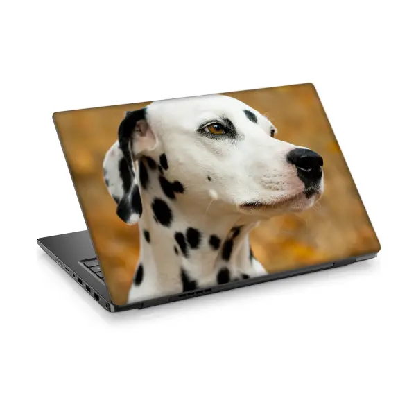 Dalmaçyalı Köpek Laptop Sticker Notebook Dizüstü Kaplama Stickeri