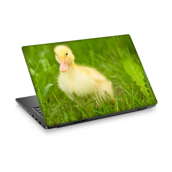 Ördek-2 Laptop Sticker Notebook Dizüstü Kaplama Stickeri