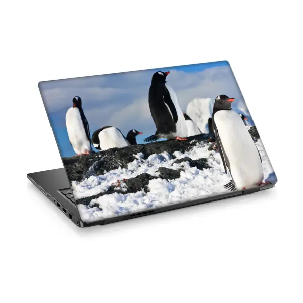 Penguenler-4 Laptop Sticker Notebook Dizüstü Kaplama Stickeri