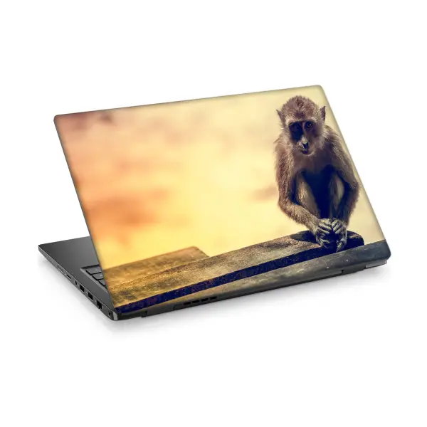 Maymun Laptop Sticker Notebook Dizüstü Kaplama Stickeri
