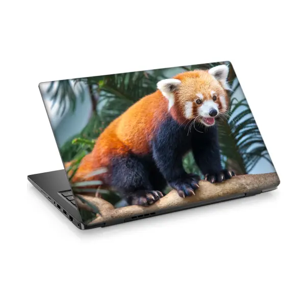 Red Panda Laptop Sticker Notebook Dizüstü Kaplama Stickeri