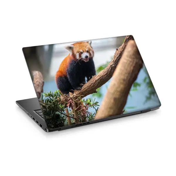 Red Panda-2 Laptop Sticker Notebook Dizüstü Kaplama Stickeri