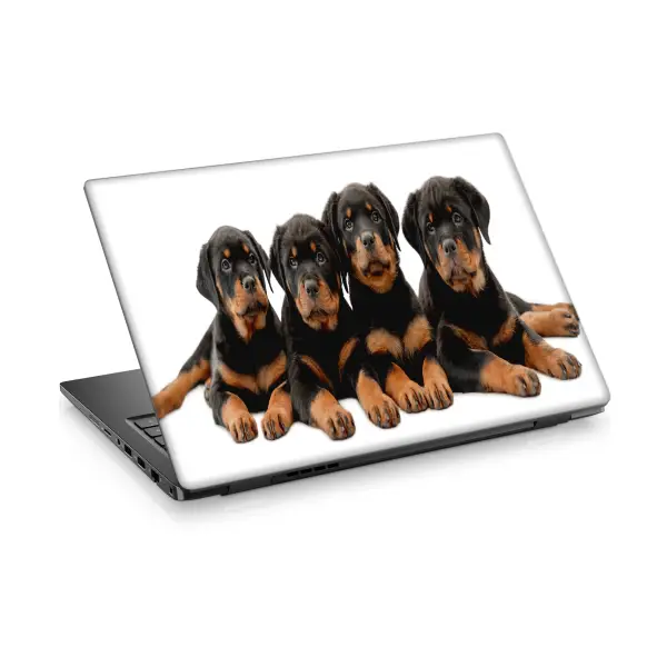 Rottweiler Yavru Köpek Temalı Laptop Sticker Notebook Dizüstü Kaplama Stickeri