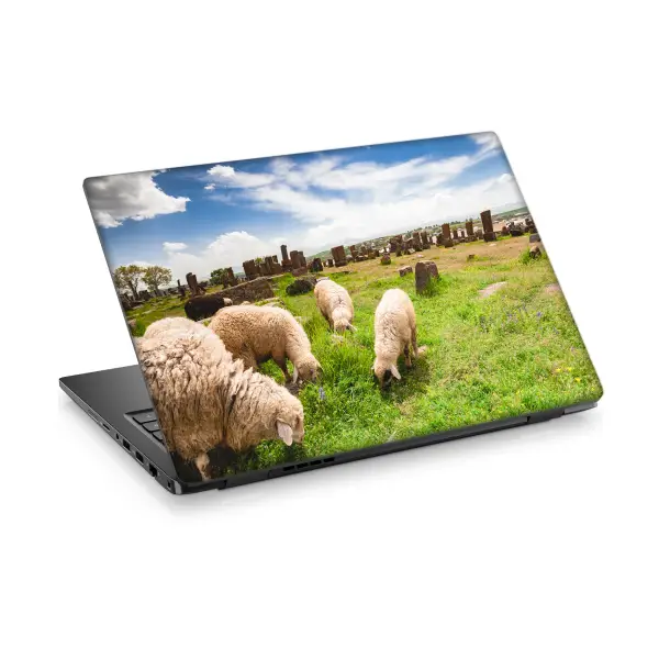 Koyunlar Laptop Sticker Notebook Dizüstü Kaplama Stickeri