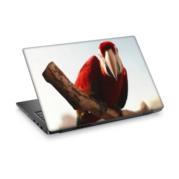Papağan Laptop Sticker Notebook Dizüstü Kaplama Stickeri